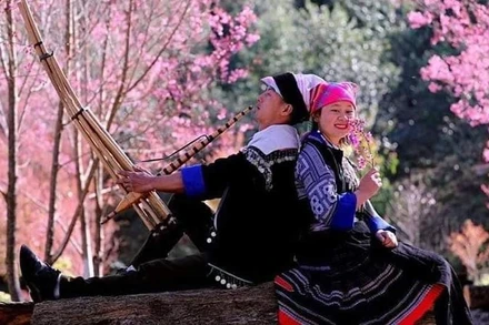 Bên sắc hoa Tớ dày.