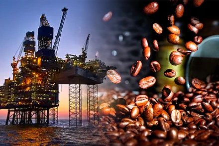 Giá dầu giằng co, giá cà-phê Robusta lên cao nhất trong vòng 16 năm