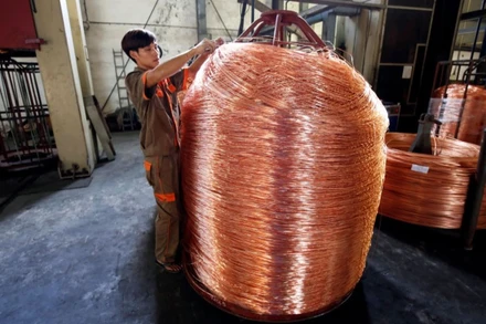 Ảnh minh họa. (Nguồn: Reuters/TTXVN)