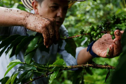 Ảnh minh họa. (Nguồn: Reuters)