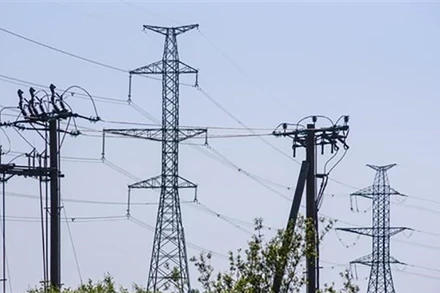 Đường dây tải điện ở Sloka, gần Riga, Latvia. (Ảnh: AFP/TTXVN)