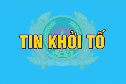 Bắt tạm giam Viện trưởng Viện Nghiên cứu và Phát triển SENA