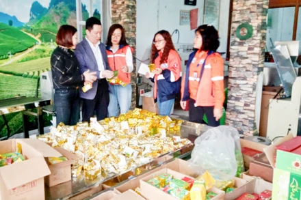 Cán bộ Công ty Núi Pháo tư vấn cho Hợp tác xã chè Nhật Thức cải thiện mẫu mã, đóng gói.