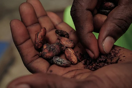 Ảnh minh họa. (Nguồn: Reuters)
