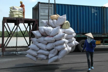 Việt Nam sắp có lô hàng gạo xuất khẩu sang Bangladesh.