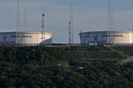 Ảnh minh họa. (Nguồn: Reuters)