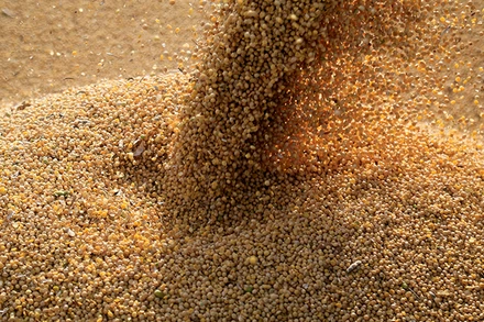 Ảnh minh họa. (Nguồn: Reuters)