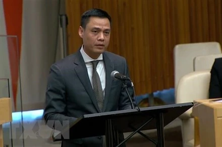 Đại sứ Đặng Hoàng Giang, Trưởng Phái đoàn Đại diện thường trực Việt Nam tại Liên hợp quốc. (Ảnh: TTXVN)