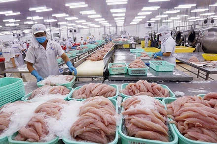 Xuất khẩu thủy sản đang gặp nhiều khó khăn.