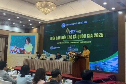Chủ tịch Liên minh Hợp tác xã Việt Nam 2025 Cao Xuân Thu Vân phát biểu khai mạc.