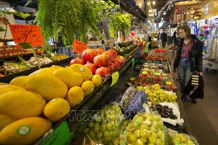 (Ảnh minh hoạ. Nguồn: TTXVN)