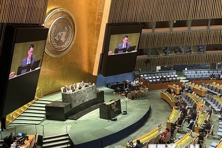 Phó Chủ tịch Đại hội đồng Liên hợp quốc, Đại sứ Đặng Hoàng Giang, Trưởng Phái đoàn đại diện thường trực Việt Nam tại LHQ, chủ trì phiên họp thảo luận và thông qua Nghị quyết. (Ảnh: Thanh Tuấn/TTXVN)