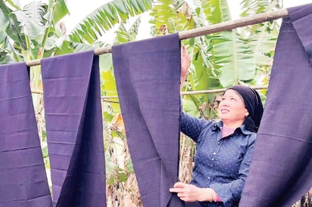 Thiếu nữ người Nùng ở Xuân Dương phơi vải chàm.