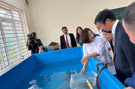 Lồng lưới thực hành nuôi trồng thủy sản được bàn giao cho Trường cao đẳng Thủy sản và Công nghệ thực phẩm Hải Phòng. (Ảnh: ĐSQ Nhật Bản)