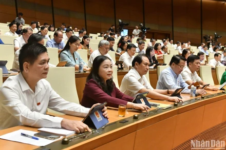 Đại biểu Quốc hội biểu quyết thông qua Luật Tổ chức Tòa án nhân dân (sửa đổi). (Ảnh: ĐĂNG KHOA)