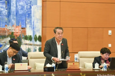 Trưởng Ban Dân nguyện Dương Thanh Bình báo cáo tại phiên họp. (Ảnh: DUY LINH)