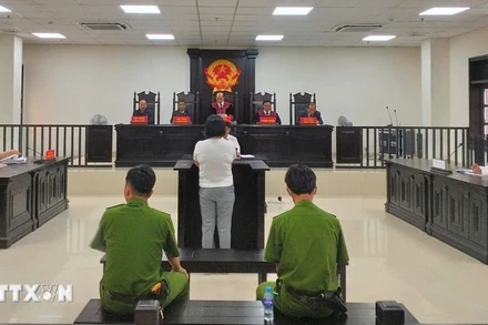 Bộ Công an đề xuất bổ sung 27 tội danh dù chuẩn bị phạm tội cũng bị truy cứu trách nhiệm hình sự. (Ảnh minh họa: TTXVN)