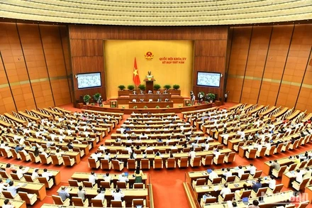 Quang cảnh một phiên thảo luận ở hội trường tại Kỳ họp thứ 5, Quốc hội khóa XV. (Ảnh: DUY LINH)