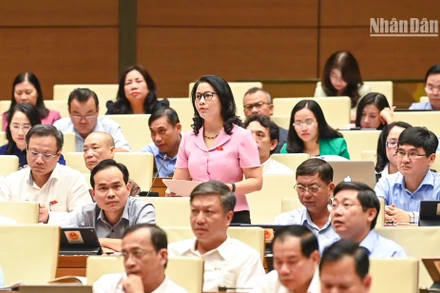 Đại biểu Quốc hội phát biểu ý kiến thảo luận ở hội trường ngày 1/11. (Ảnh: DUY LINH)