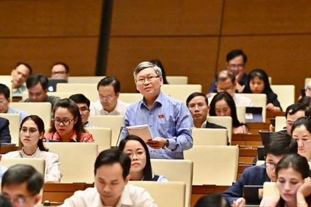 Đại biểu Tô Văn Tám (đoàn Kon Tum) góp ý kiến vào dự án Luật Phòng, chống bạo lực gia đình (sửa đổi) trong phiên họp ở hội trường chiều 26/10. (Ảnh: ĐĂNG KHOA)