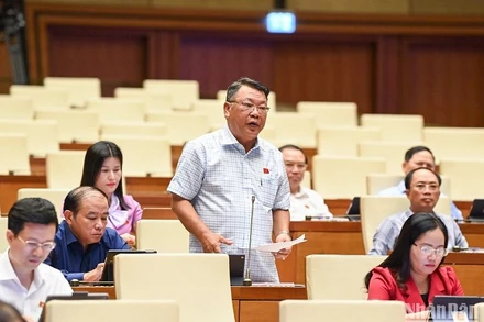 Đại biểu Quốc hội Nguyễn Tạo (đoàn Lâm Đồng) cho ý kiến về dự án Luật Căn cước công dân (sửa đổi) tại Hội nghị đại biểu Quốc hội hoạt động chuyên trách sáng 28/8. (Ảnh: DUY LINH)