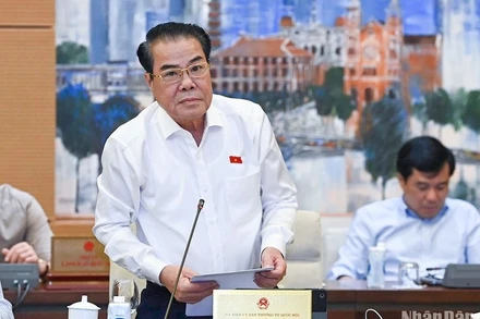 Trưởng Ban Dân nguyện Dương Thanh Bình báo cáo tại phiên họp. (Ảnh: DUY LINH)