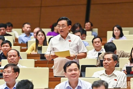 Đại biểu Trần Quốc Tuấn (đoàn Trà Vinh) tham gia ý kiến thảo luận ở hội trường sáng 31/5. (Ảnh: DUY LINH)