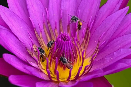 Ảnh đẹp động vật hoang dã trong tuần