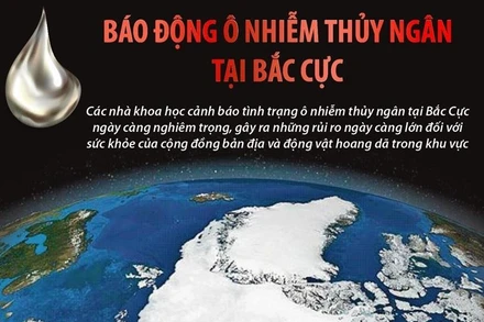 [Infographic] Báo động tình trạng ô nhiễm thủy ngân tại Bắc Cực