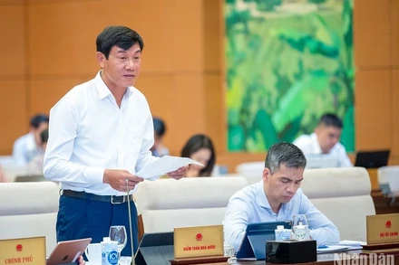 Phó Tổng Kiểm toán nhà nước Doãn Anh Thơ báo cáo tại phiên họp. (Ảnh: DUY LINH)