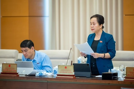 Phó Chủ nhiệm Ủy ban Tài chính, Ngân sách Nguyễn Vân Chi trình bày báo cáo thẩm tra về dự thảo Nghị quyết trong phiên họp sáng 13/5. (Ảnh: DUY LINH) 