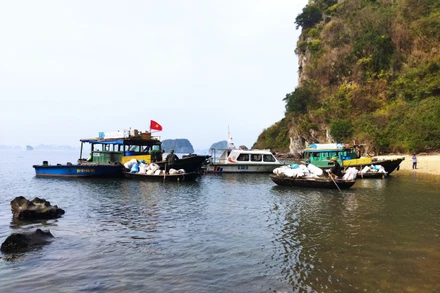 Rác trên Vịnh Hạ Long thường xuyên được thu gom, xử lý.