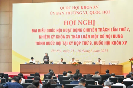 Quang cảnh phiên họp chiều 25/3. (Ảnh: DUY LINH)
