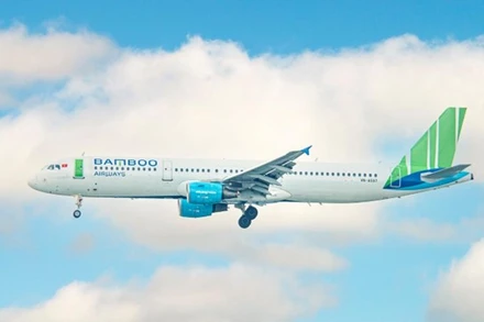 Cục thuế tỉnh Bình Định hủy bỏ tạm hoãn xuất cảnh với CEO Bamboo Airways