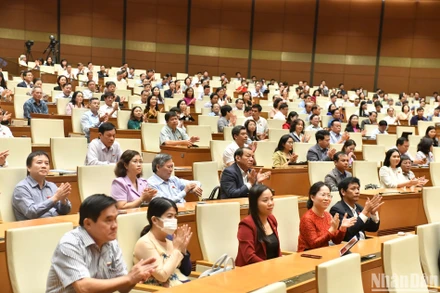 Các đại biểu Quốc hội dự phiên chất vấn và trả lời chất vấn ngày 8/11. (Ảnh: ĐĂNG KHOA)