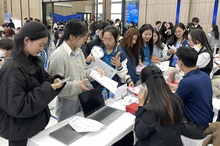 Một doanh nghiệp giới thiệu cơ hội việc làm cho sinh viên tại Festival.