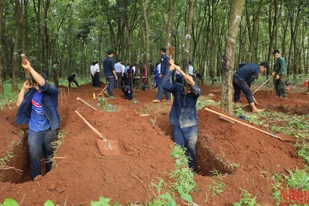 Phần mộ liệt sĩ tại huyện Hớn Quản, tỉnh Bình Phước được các chiến sĩ Đội K72 tìm kiếm, cất bốc. 