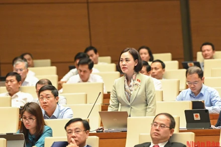 Đại biểu Quốc hội Trần Thị Hồng Thanh (đoàn Ninh Bình) phát biểu ý kiến tại hội trường chiều 28/10. (Ảnh: DUY LINH)