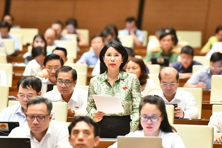 Đại biểu Trần Thị Nhị Hà (đoàn Hà Nội) phát biểu tại hội trường chiều 29/5. (Ảnh: ĐĂNG KHOA)