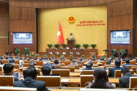 Quang cảnh phiên họp toàn thể tại Hội trường sáng 14/2.