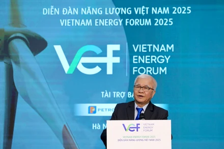 Thúc đẩy phát triển nhanh các nguồn năng lượng mới tại Việt Nam