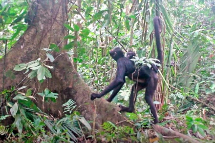 Ảnh đẹp động vật hoang dã trong tuần