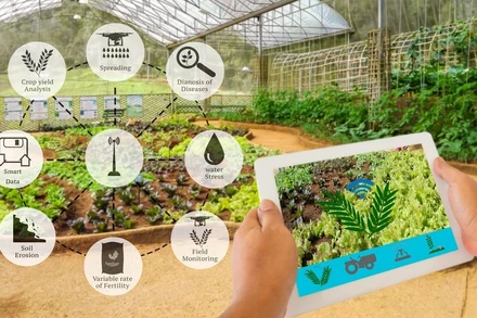 Ứng dụng trí tuệ nhân tạo trong sản xuất nông nghiệp giúp nâng cao năng suất và giảm thiểu chi phí. (Ảnh minh họa)