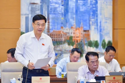 Chủ nhiệm Ủy ban Kinh tế Vũ Hồng Thanh trình bày tóm tắt báo cáo thẩm tra về các nội dung kinh tế-xã hội, cơ cấu lại nền kinh tế. (Ảnh: DUY LINH)