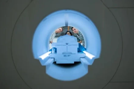 Bộ giải mã ngữ nghĩa được các nhà nghiên cứu thuộc Đại học Texas đào tạo dựa trên hàng chục giờ dữ liệu hoạt động của não bộ từ những tình nguyện viên, được thu thập trong máy quét fMRI. (Ảnh: Đại học Texas)