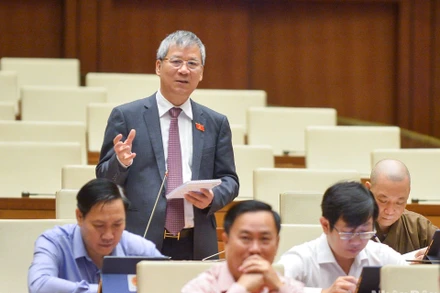 Đại biểu Nguyễn Anh Trí tham gia ý kiến thảo luận về dự án Luật Giá (sửa đổi). (Ảnh: DUY LINH)