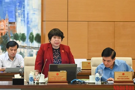 Chủ nhiệm Ủy ban Xã hội của Quốc hội Nguyễn Thúy Anh phát biểu ý kiến tại phiên họp. (Ảnh: DUY LINH)