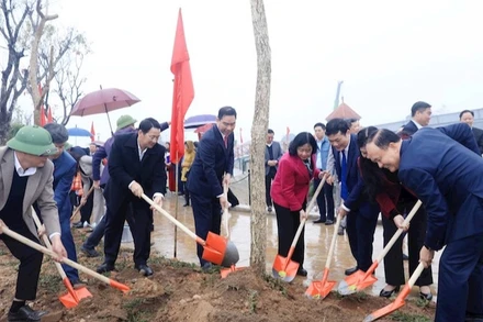 Bí thư Thành ủy Hà Nội Bùi Thị Minh Hoài tham gia trồng cây cùng các đại biểu.