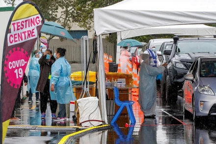 Các phương tiện xếp hàng tại điểm xét nghiệm Covid-19 ở Auckland, New Zealand. (Ảnh: AFP/TTXVN)