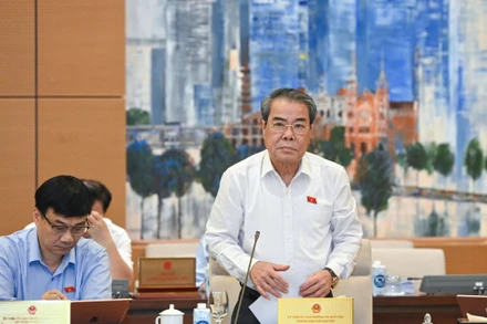 Trưởng Ban Dân nguyện Dương Thanh Bình báo cáo tại phiên họp. (Ảnh: DUY LINH)